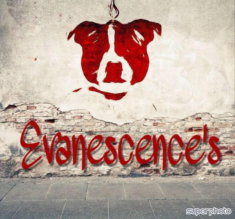 Evanescence’s