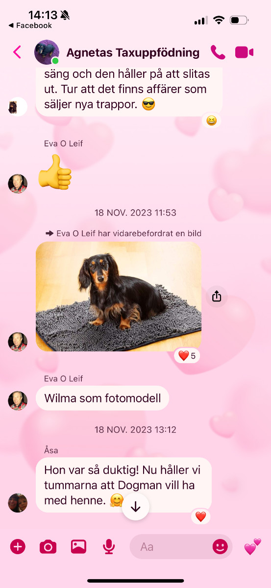 Lena Stenberg Domeij