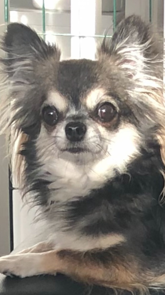 Mini chipette
