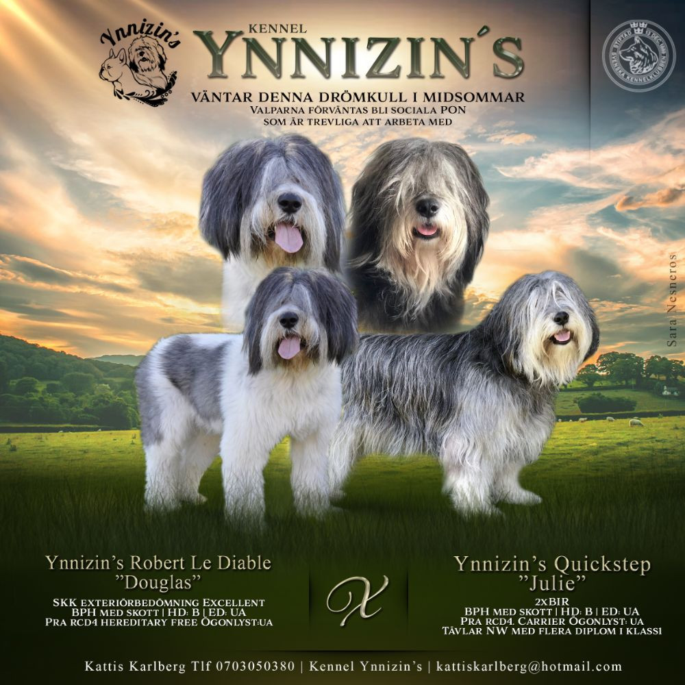 Ynnizin's