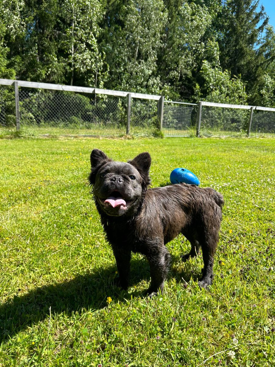Lacadorzos