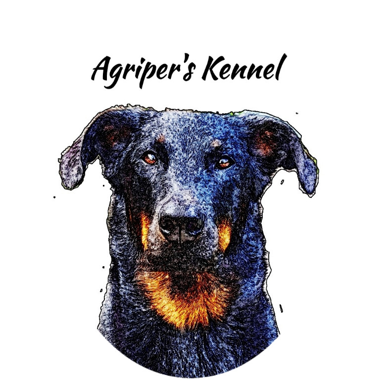 Agriper's