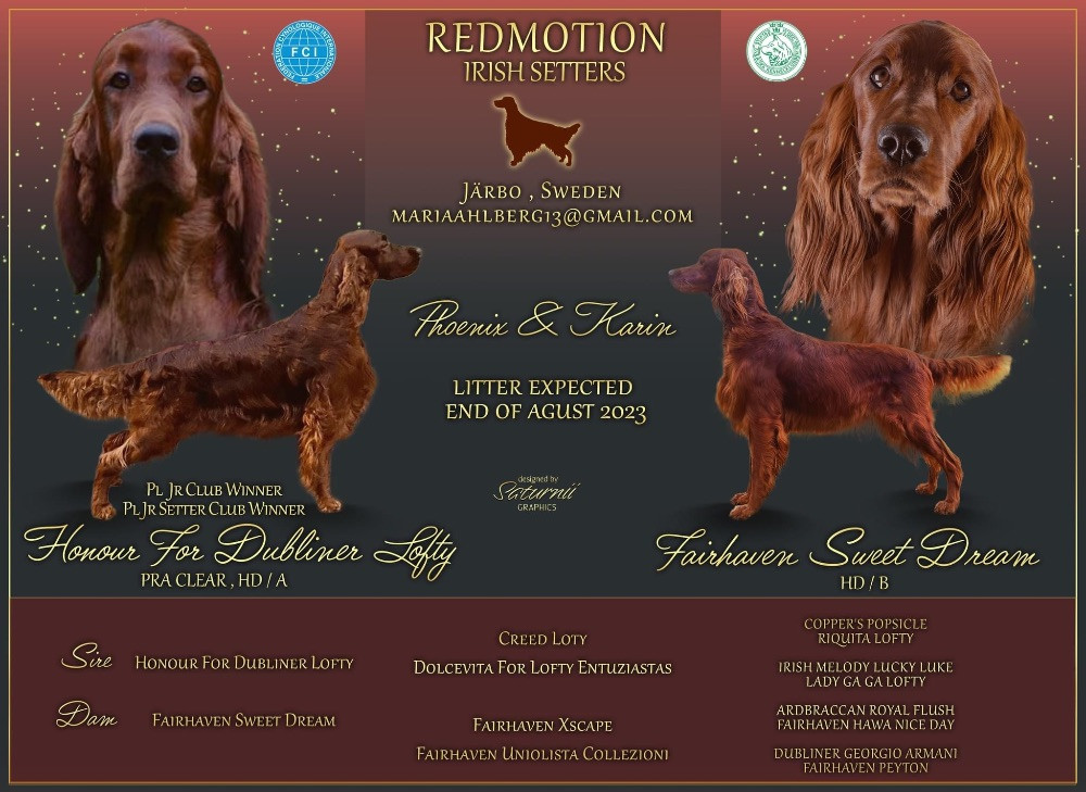 Redmotion