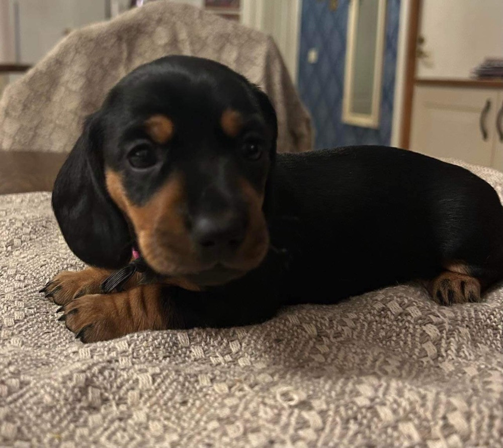 Cute as Mum