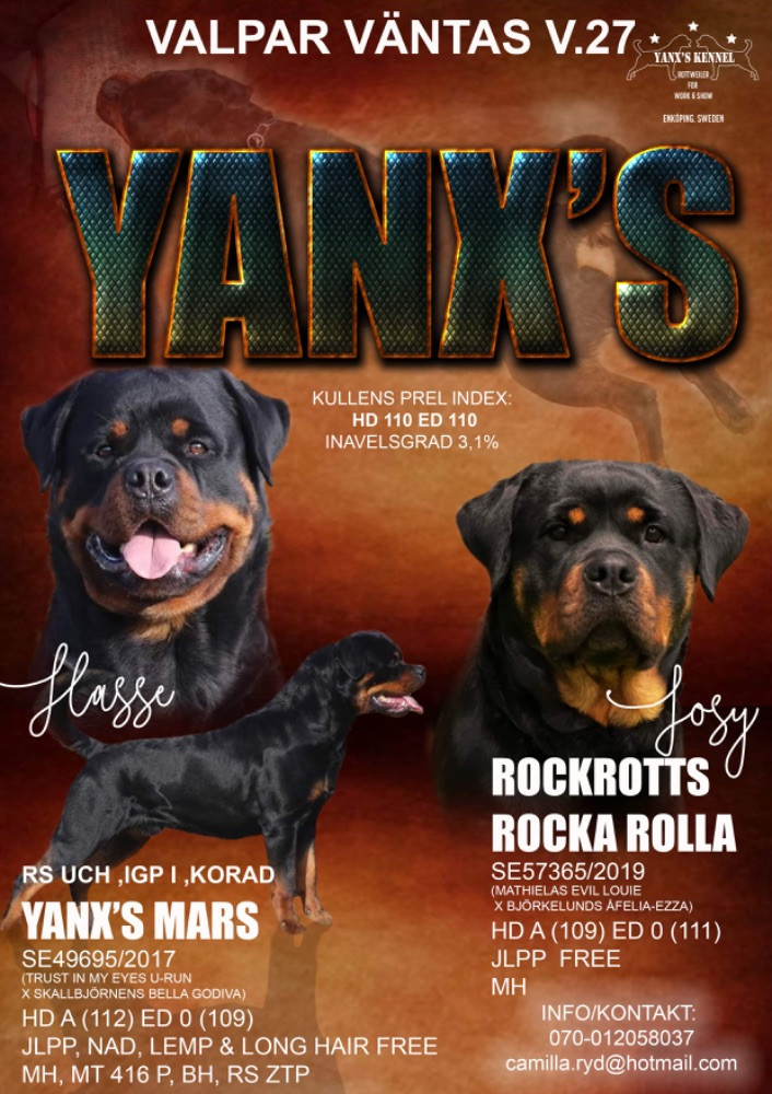 Yanx’s