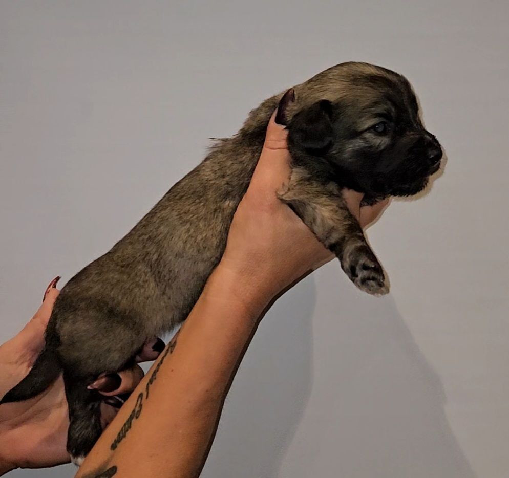 Tiny Winne