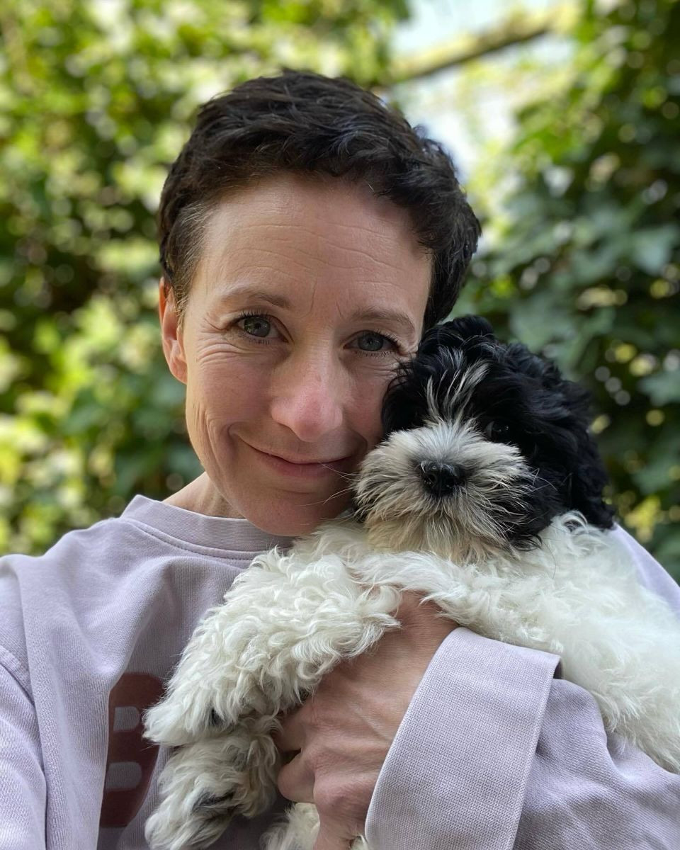 Underbara Havaton-valpar söker kärleksfulla hem [ Coton de Tulear / Bichon Havanais ]