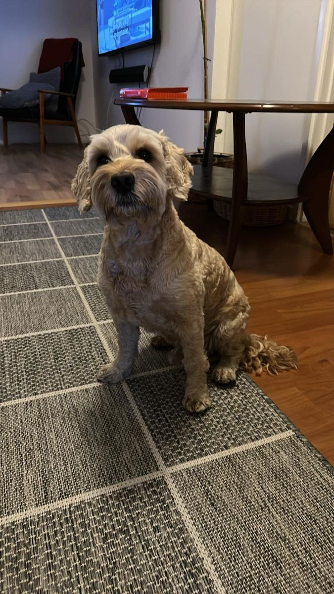 Lundatorpet