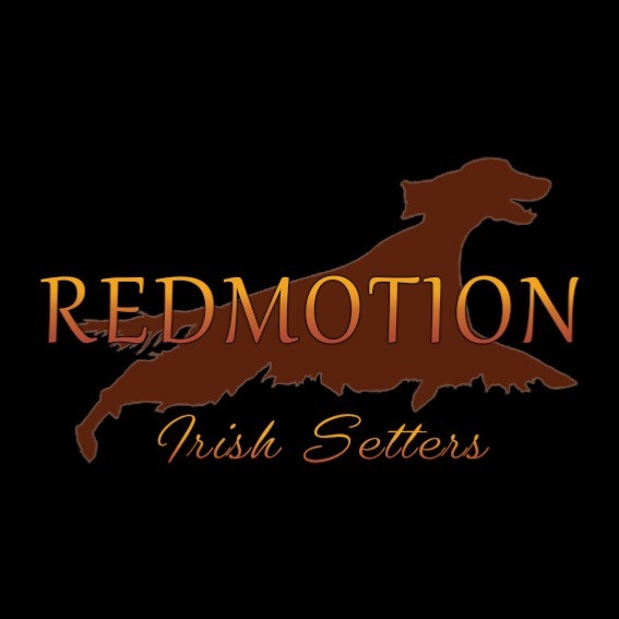 Redmotion