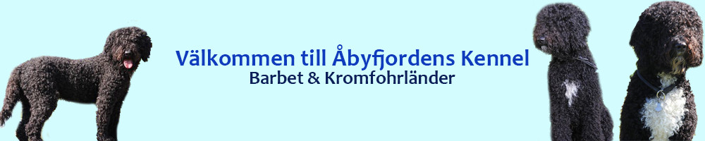 Åbyfjordens Kennel