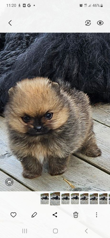 Tiny Winne
