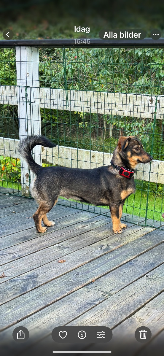 Tax · 2024-10-05 · Rydaholm · Wanthana K.