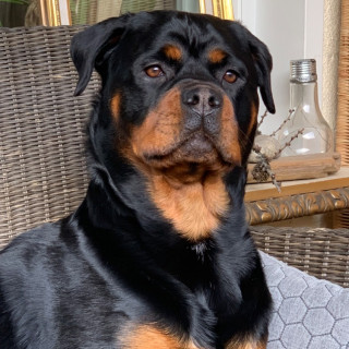 Yalangoch mast qiz talabalar fotosuratlari