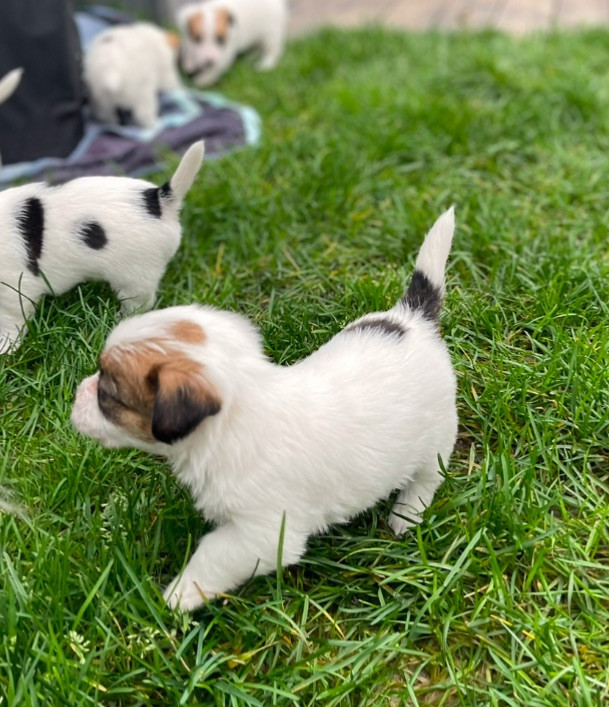 Aaa