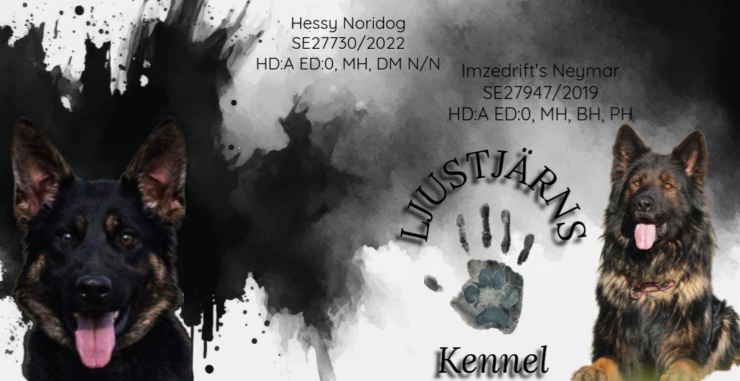 Ljustjärns