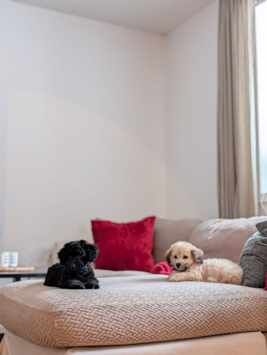 Havapoo · 2025-10-28 · Ösmo · My B.