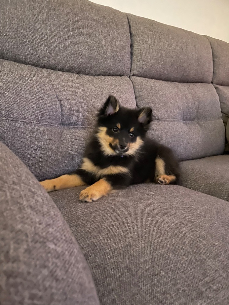 Södra Byhult