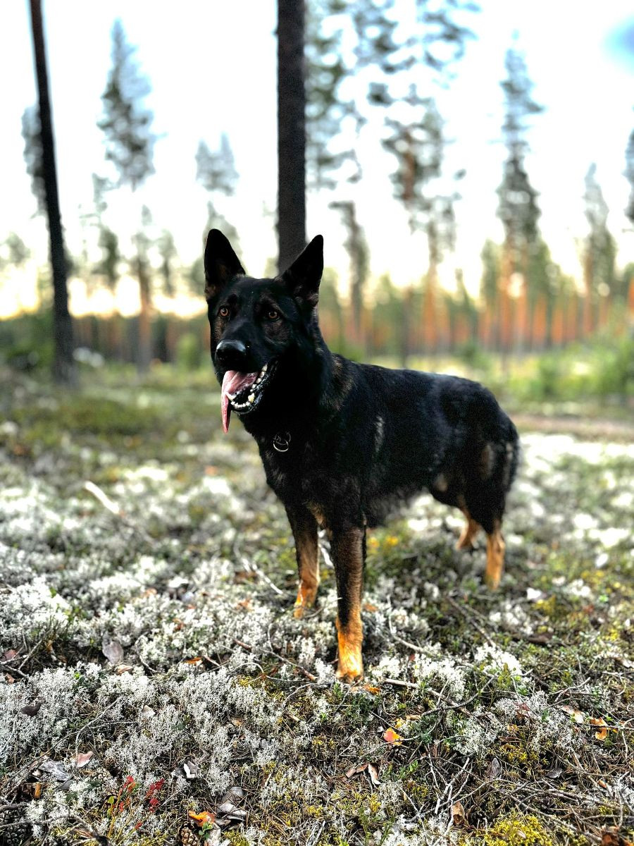Sörsidan