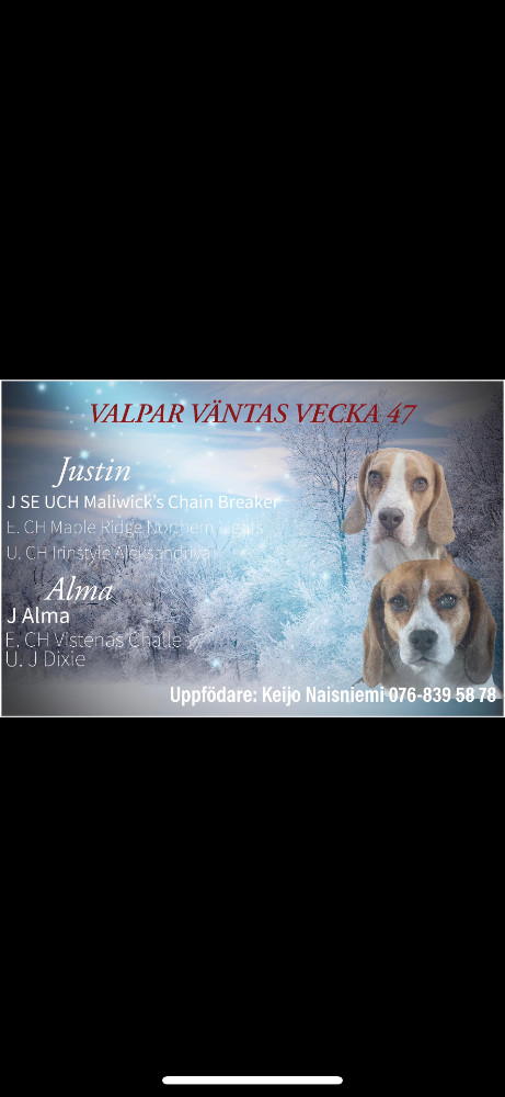 Naishunters