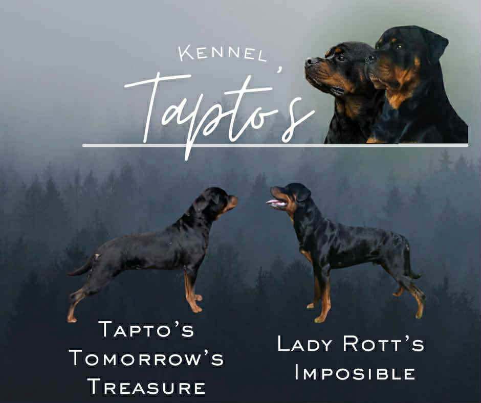 Kennel Tapto's