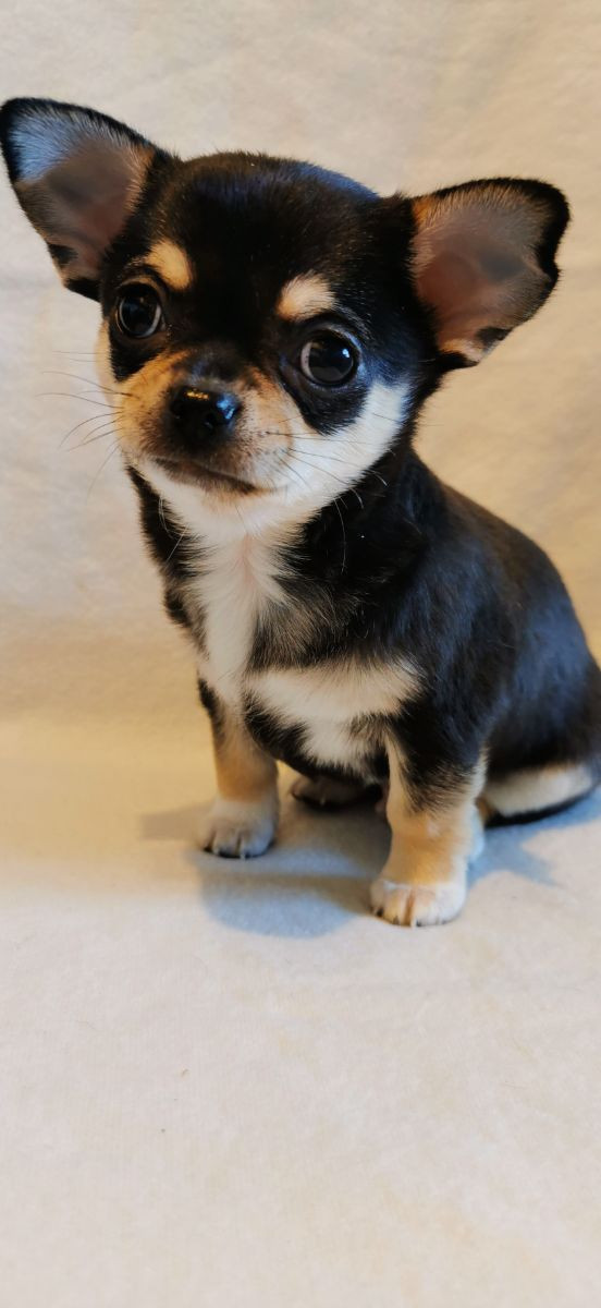 Small But Big