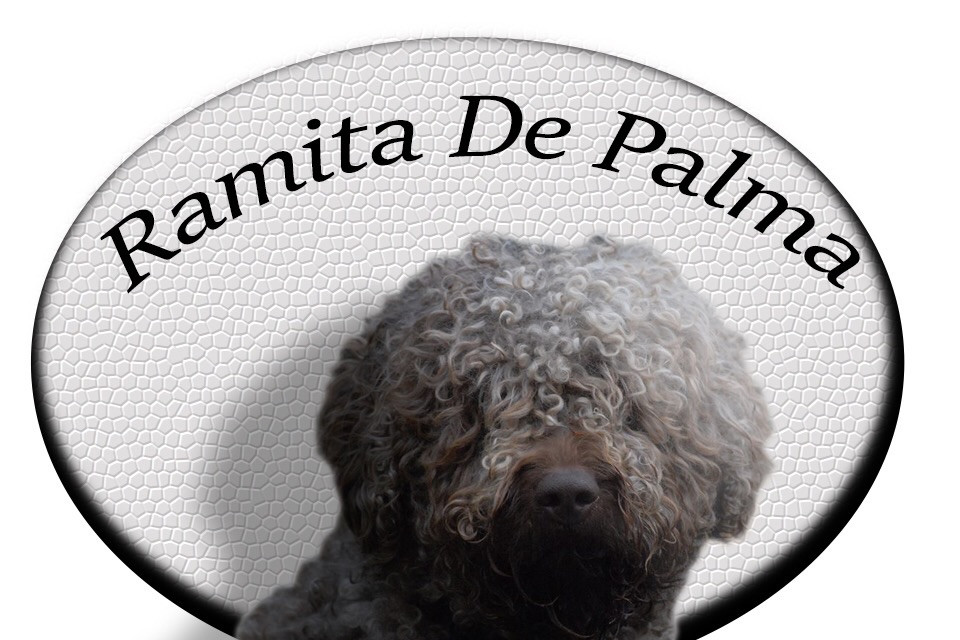 Ramita de Palma
