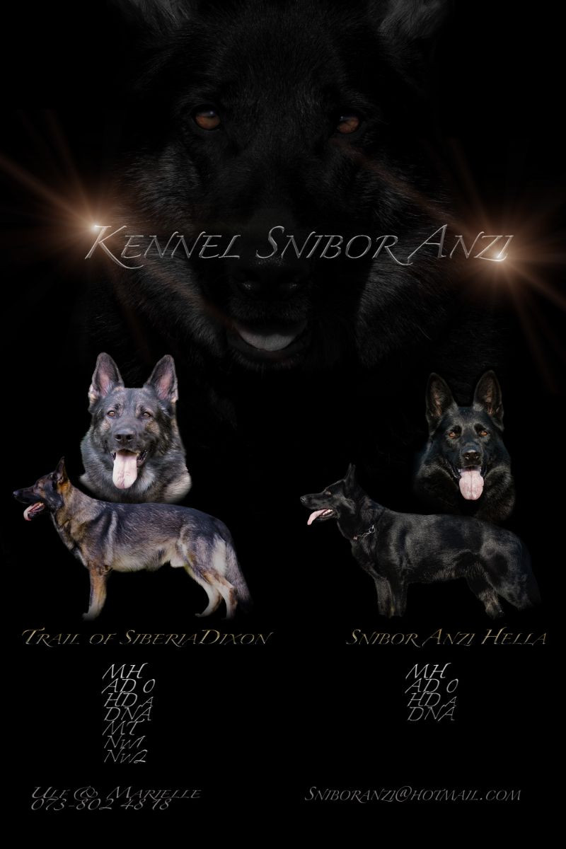 Kennel Snibor Anzi