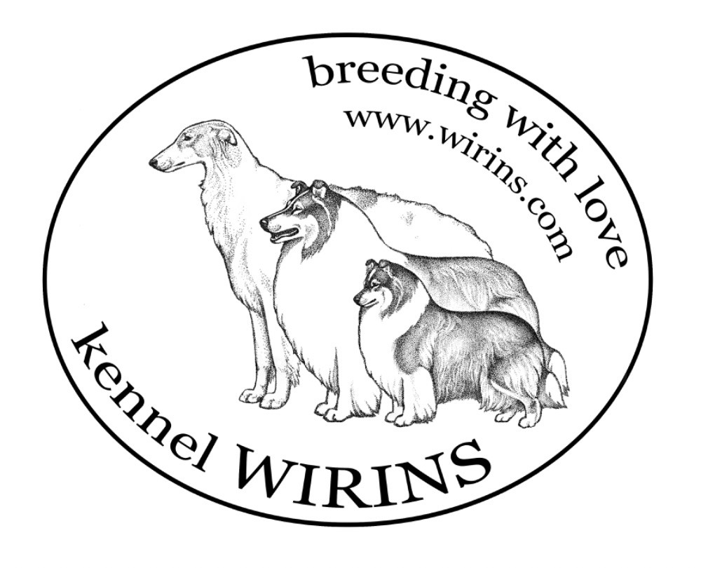 Wirins