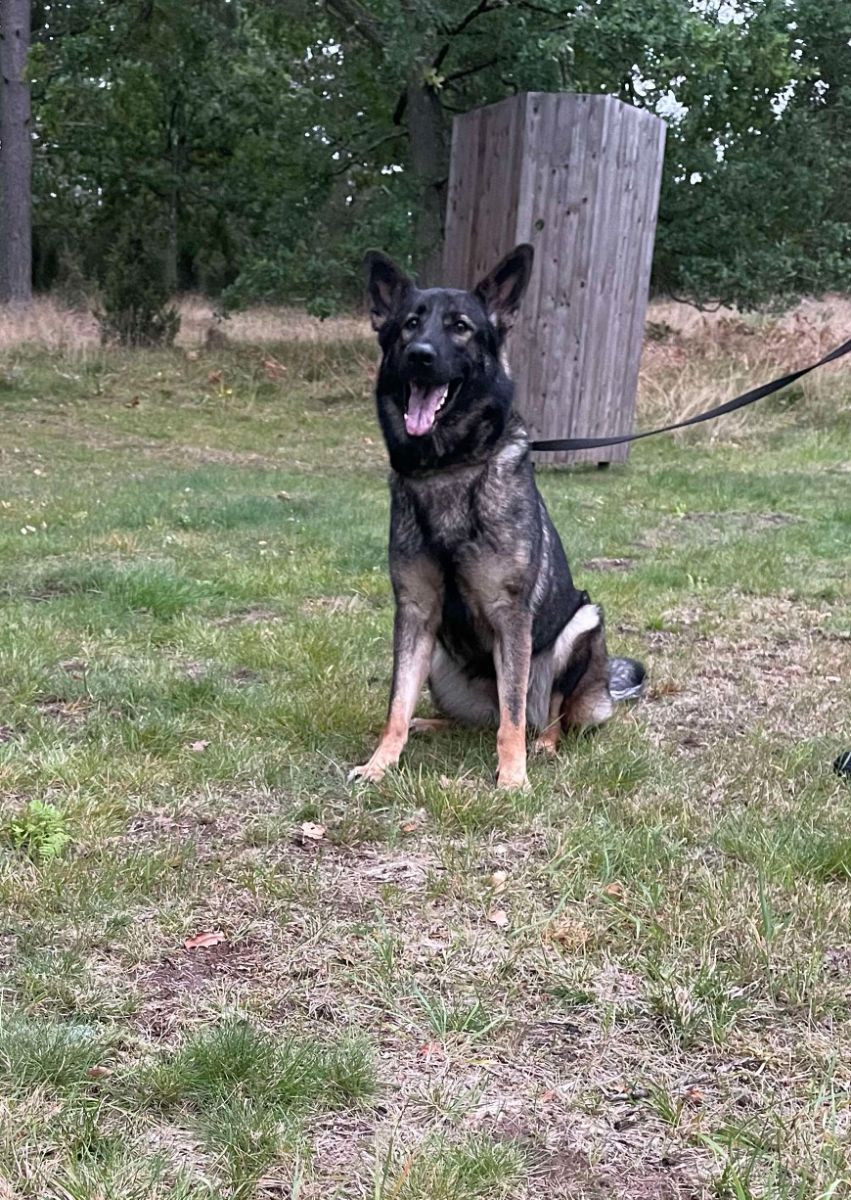 Kennel Snibor Anzi