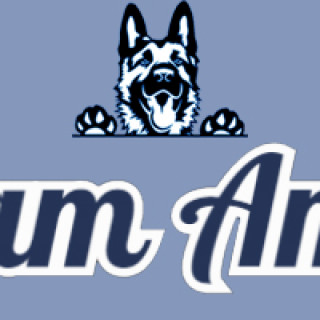 Startsida | Team Amitis