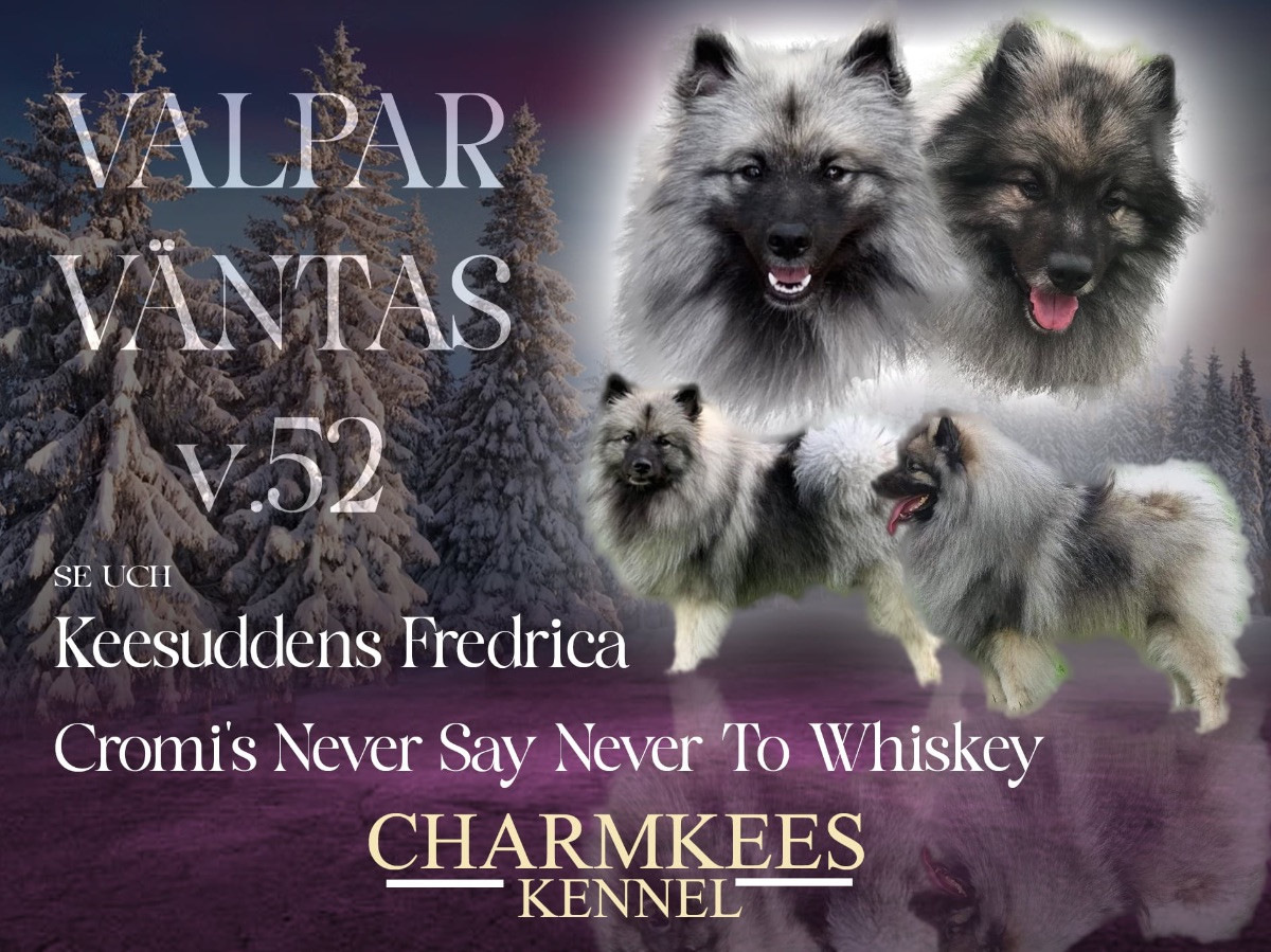 Charmkees