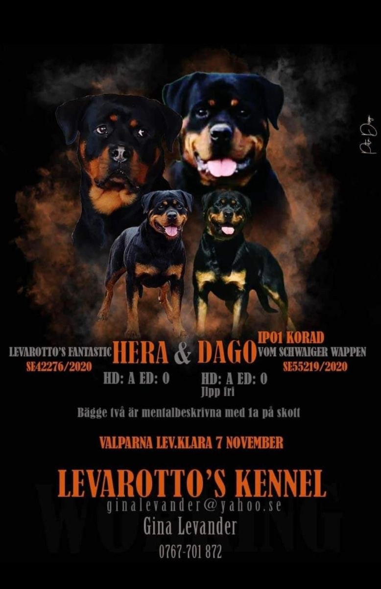 Levarotto's kennel