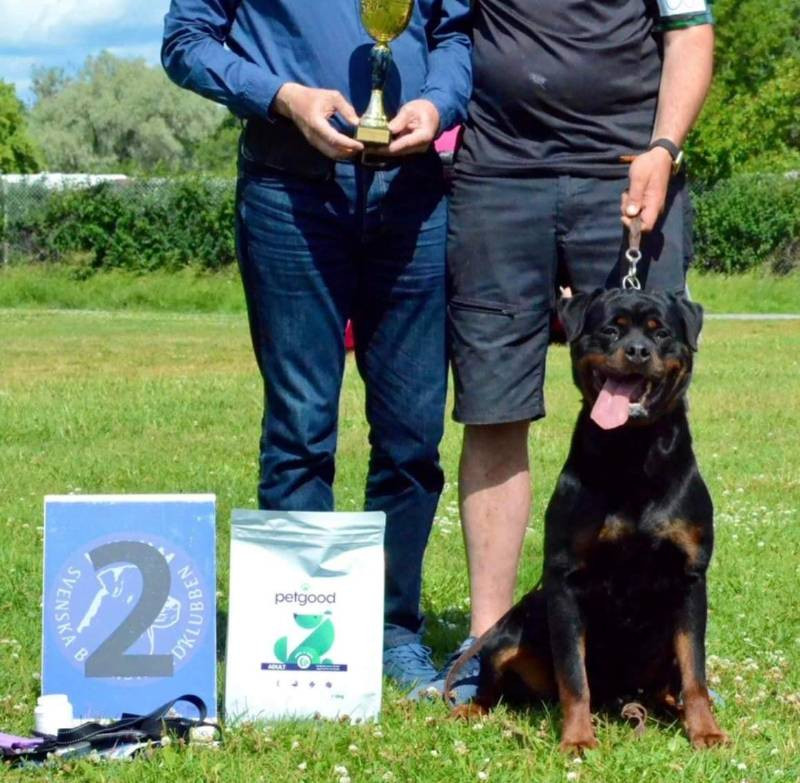 Balkan Iko’s Rottiss